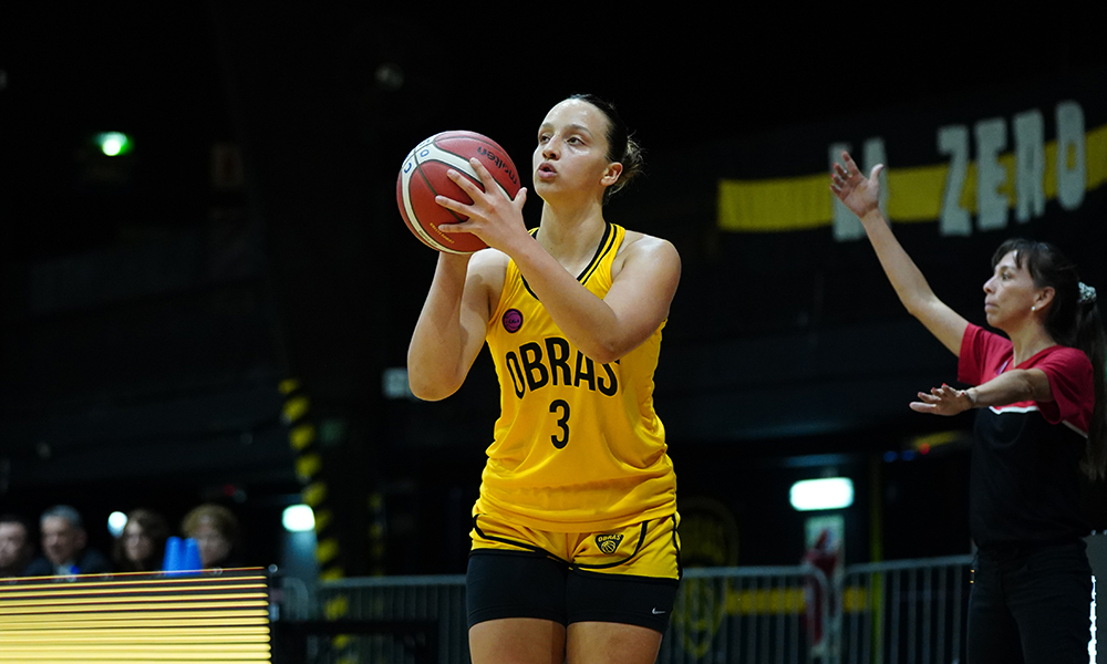 Angelina Giacone Obras Basket