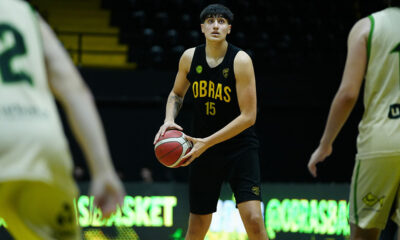 Nicholas Petri Obras