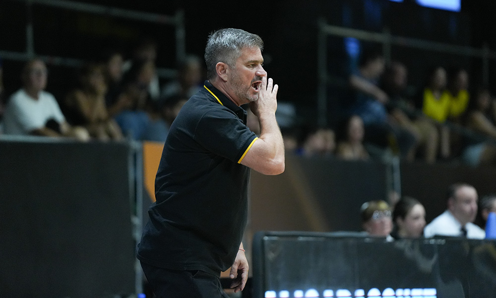 Javier Ielmini Obras