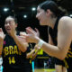 Obras Basket