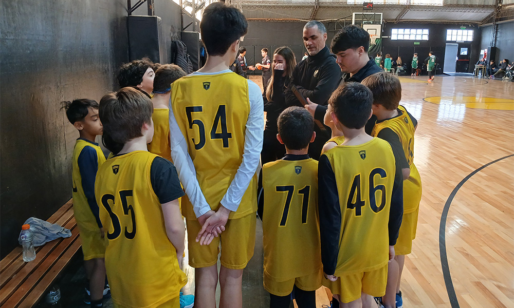 U11 Masculina
