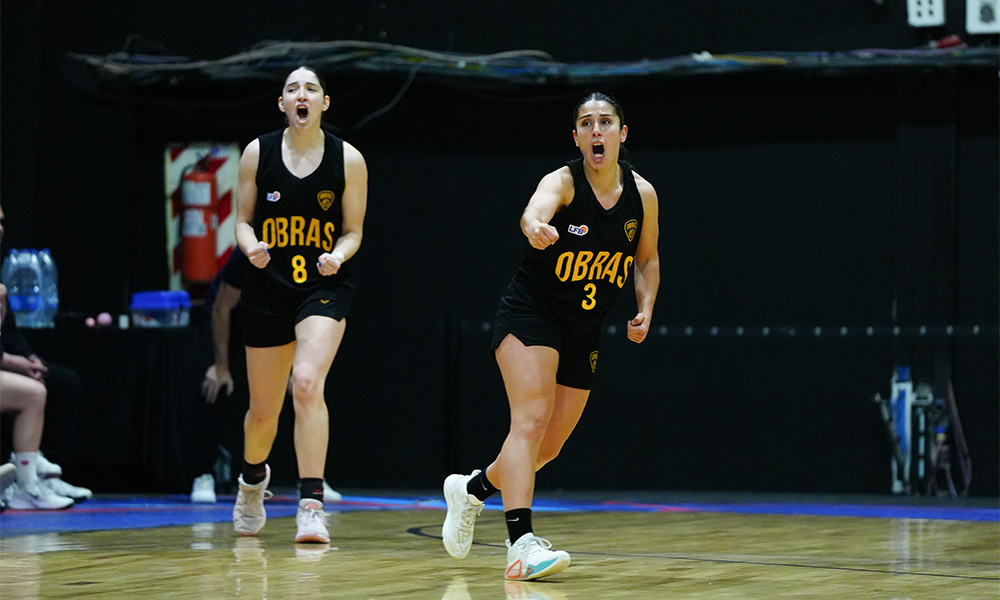 Julia Bosque Obras