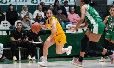 Obras Basket LNFB