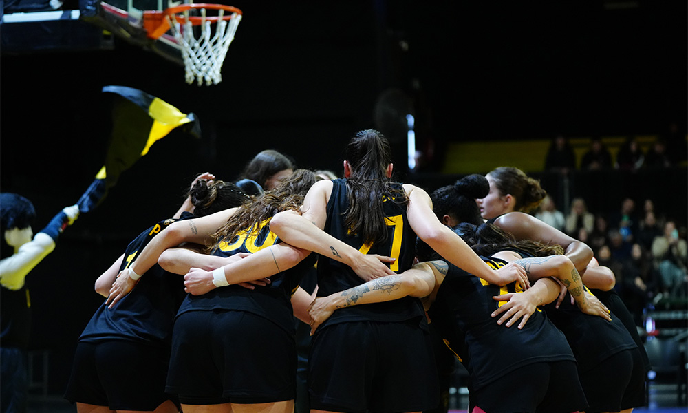Obras Basket LNFB